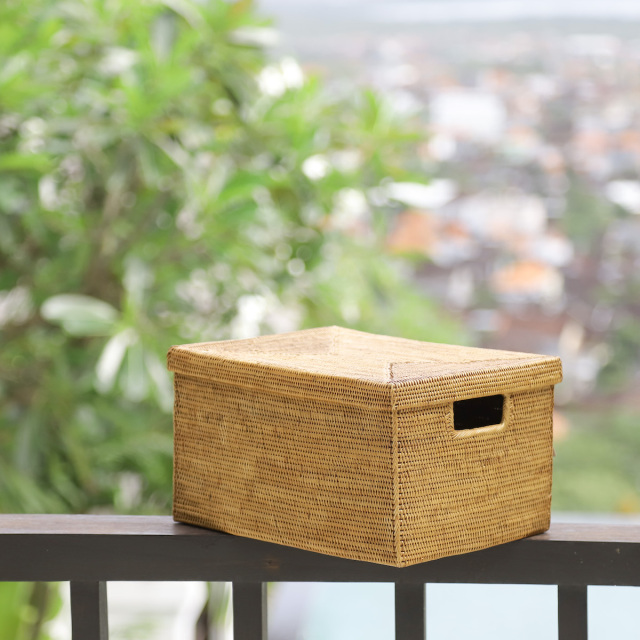 蓋付き靴箱型 (BOX415) Rosily(ロージリー) バリ島 アタかご雑貨 蓋