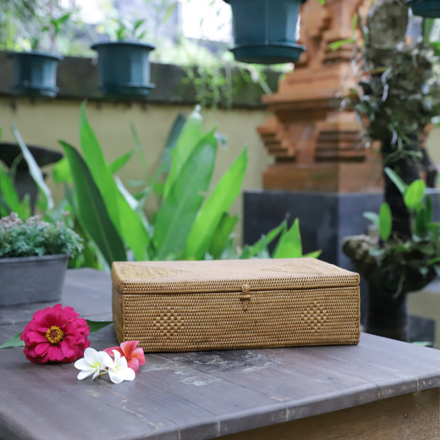 アタ 書類入れ 蓋付き 小物入れ 収納