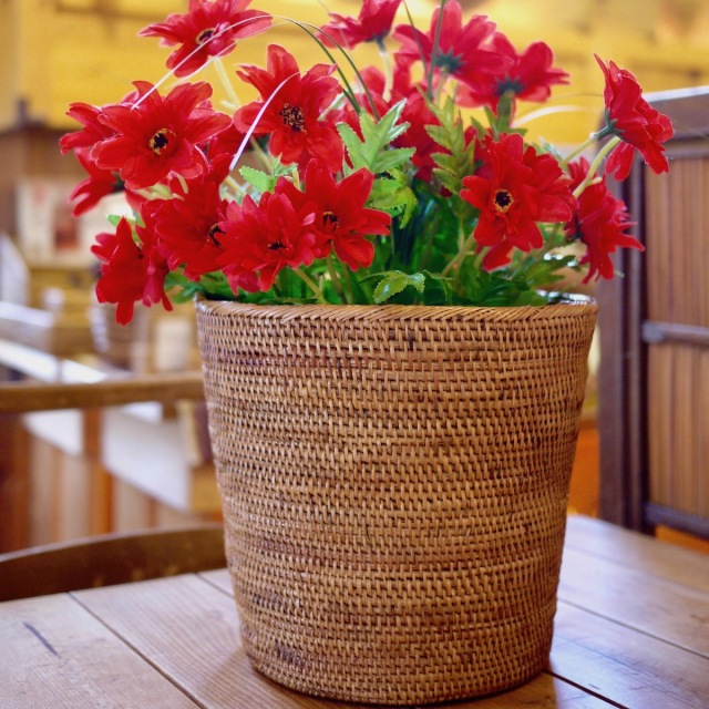 シンプルダストボックスSS (DST208) Rosily(ロージリー) バリ島 アタ