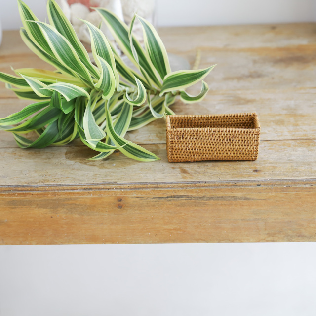 アタ　コースター