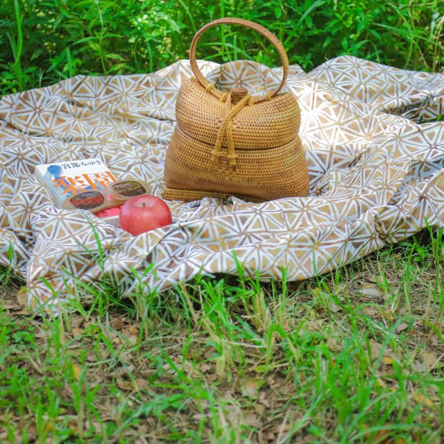 魚かご型バッグ (NAB601) Rosily(ロージリー) バリ島 アタかごバッグ  