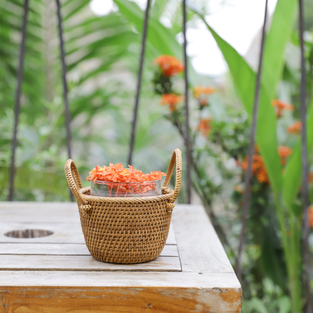 アタ バスケット