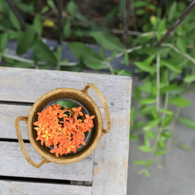 アタ バスケット