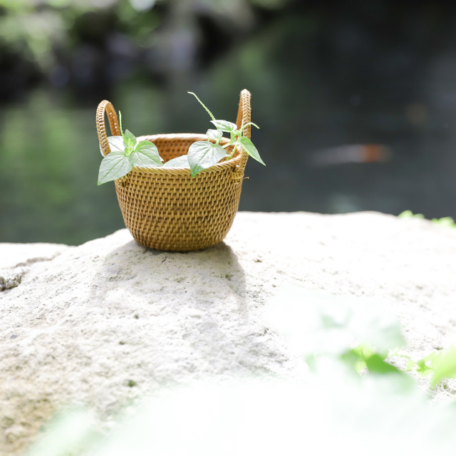 アタ バスケット