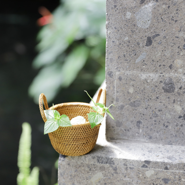 鉢カバーSSサイズ (OVL242) Rosily(ロージリー) バリ島 アタかご雑貨