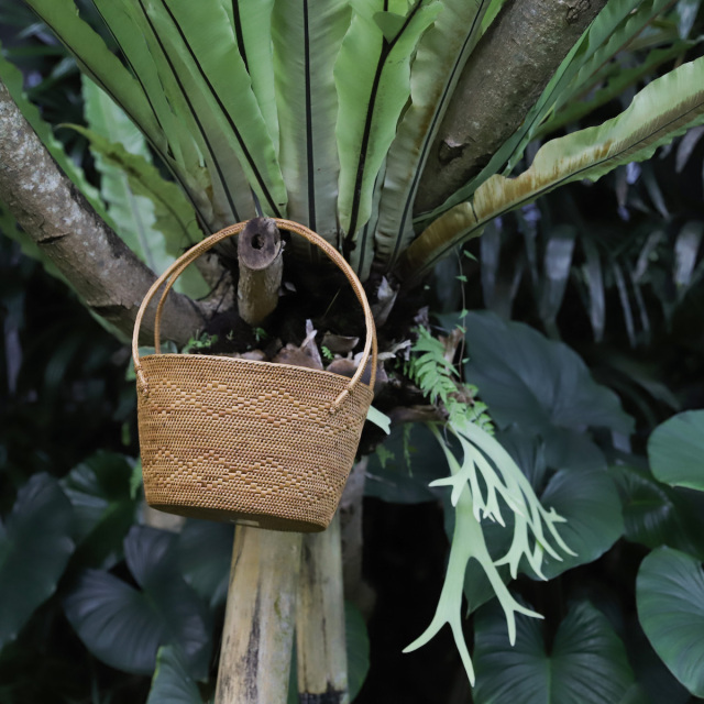 アタ　バスケット