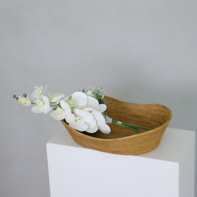 アタ 猫ベッド 犬ベッド