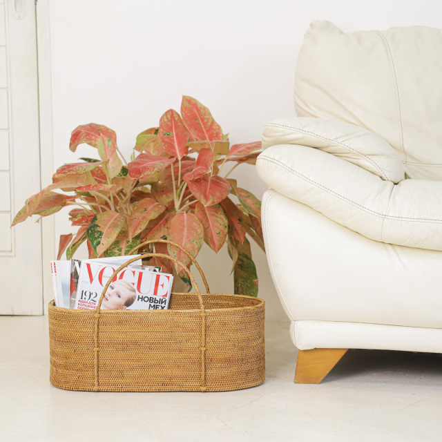 アタ 野菜カゴ 収納