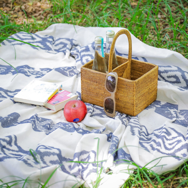 リモコン立て2枠 持手付き (RCB268) Rosily(ロージリー) バリ島 アタ