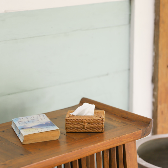 ポケットティッシュ穴空き (TIS217) Rosily(ロージリー) バリ島 アタ