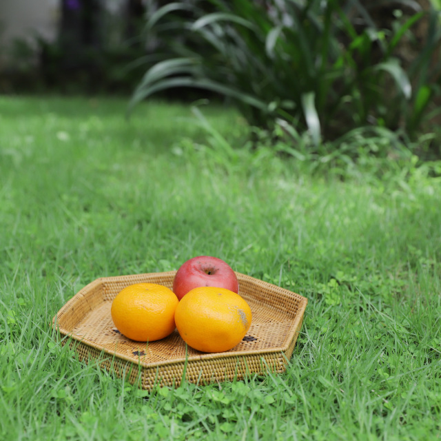アタ トレイ 小物入れ