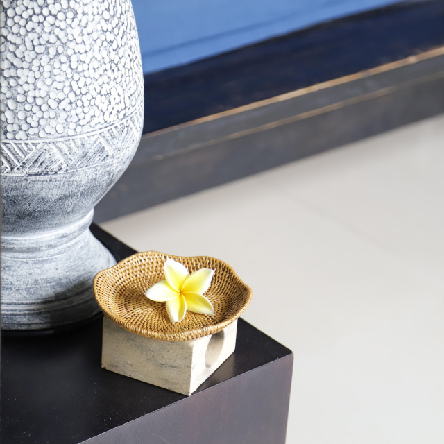 アタ　トレイ　波型