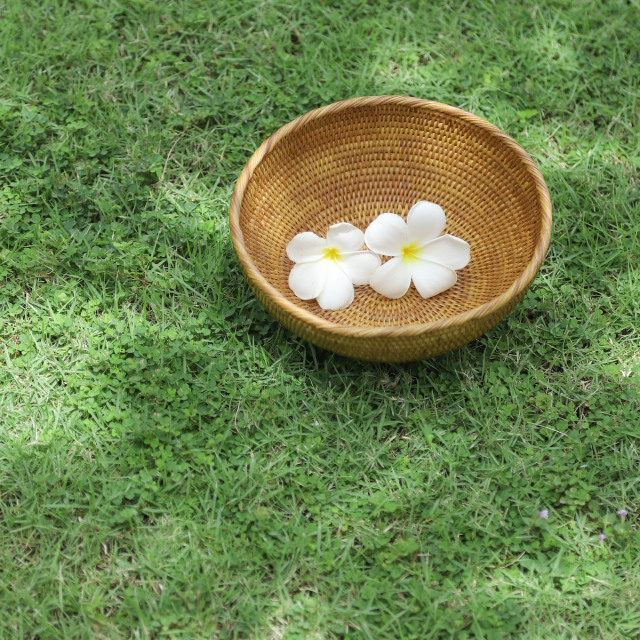 アタ 収納 小物入れ