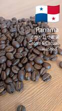 ★★限定豆★★ミラグロサ農園　100g　【パナマ】カツーラ＆カツアイ　ウォッシュド