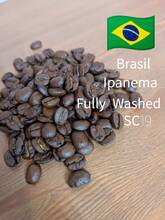 ★★限定豆★★イパネマ農園　100g　【ブラジル】フリーウォッシュドSC-19