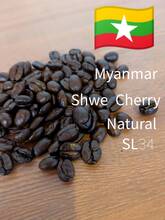 ★★限定豆★★シュエチェリー　100g　【ミャンマー】ナチュラル