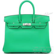 エルメス　バーキン25　ヴェールコミック　スイフト　シルバー金具 【新品】 HERMES Birkin25 Vert comic Swift Silver Buckle【NEW】