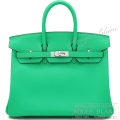 エルメス　バーキン25　ヴェールコミック　スイフト　シルバー金具 【新品】 HERMES Birkin25 Vert comic Swift Silver Buckle【NEW】