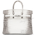 エルメス　バーキン25　ヒマラヤ　クロコダイル　ニロティカスマット　シルバー金具  【新品同様】 HERMES Birkin25 Himalaya Crocodile Niloticus mat Silver Buckle【USED】