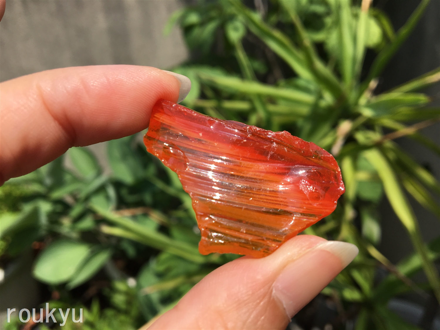 アンダラ オレンジ