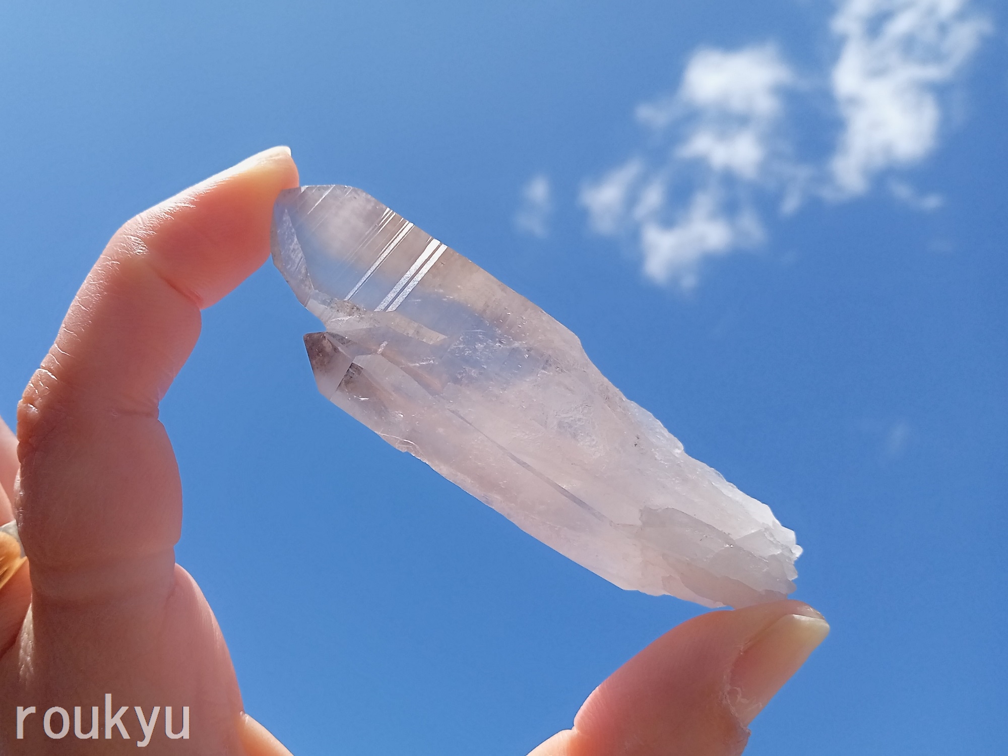 レムリアンシード　【LEMURIAN008】