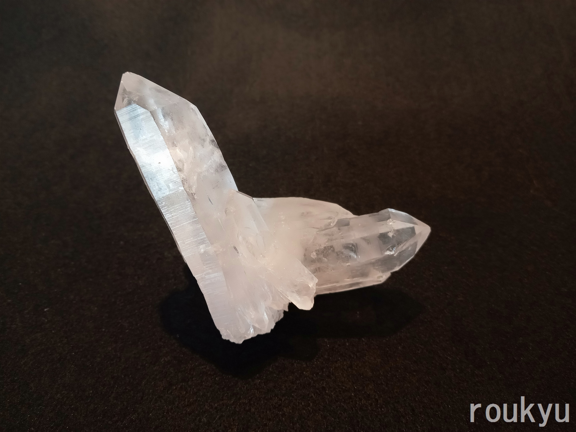 レムリアンシード