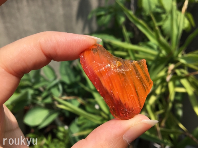 アンダラ オレンジ