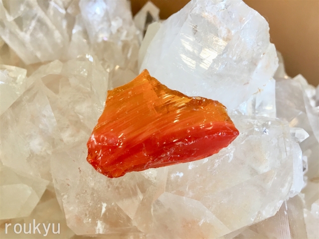 アンダラ オレンジ