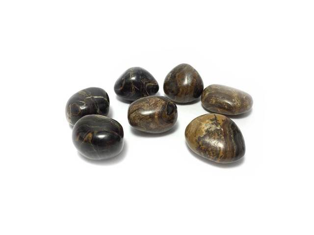 ストロマトライトの化石（ボリビア産） / 1個ランダムでの配送