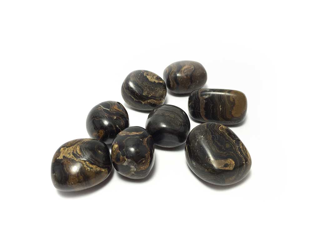 ストロマトライトの化石（ボリビア産） / 1個ランダムでの配送