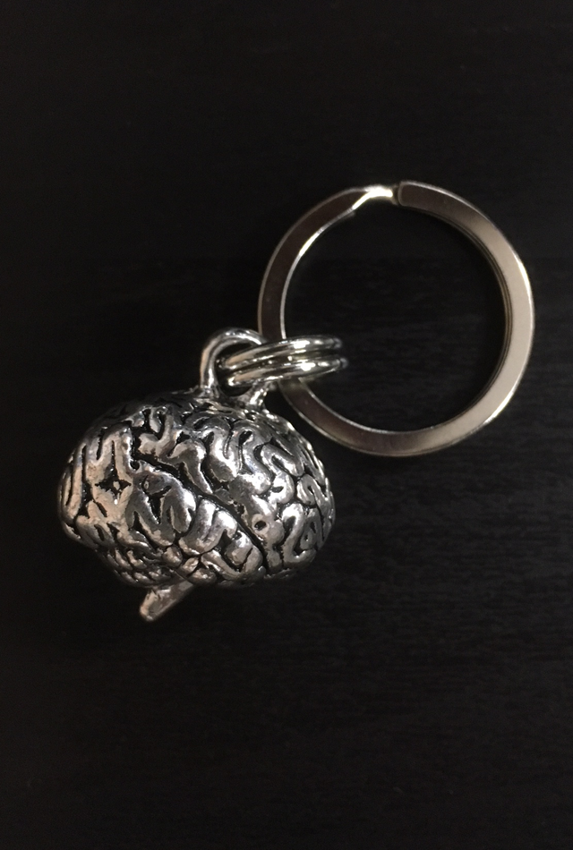 【アナトミーキーチェーン】脳（Brain）