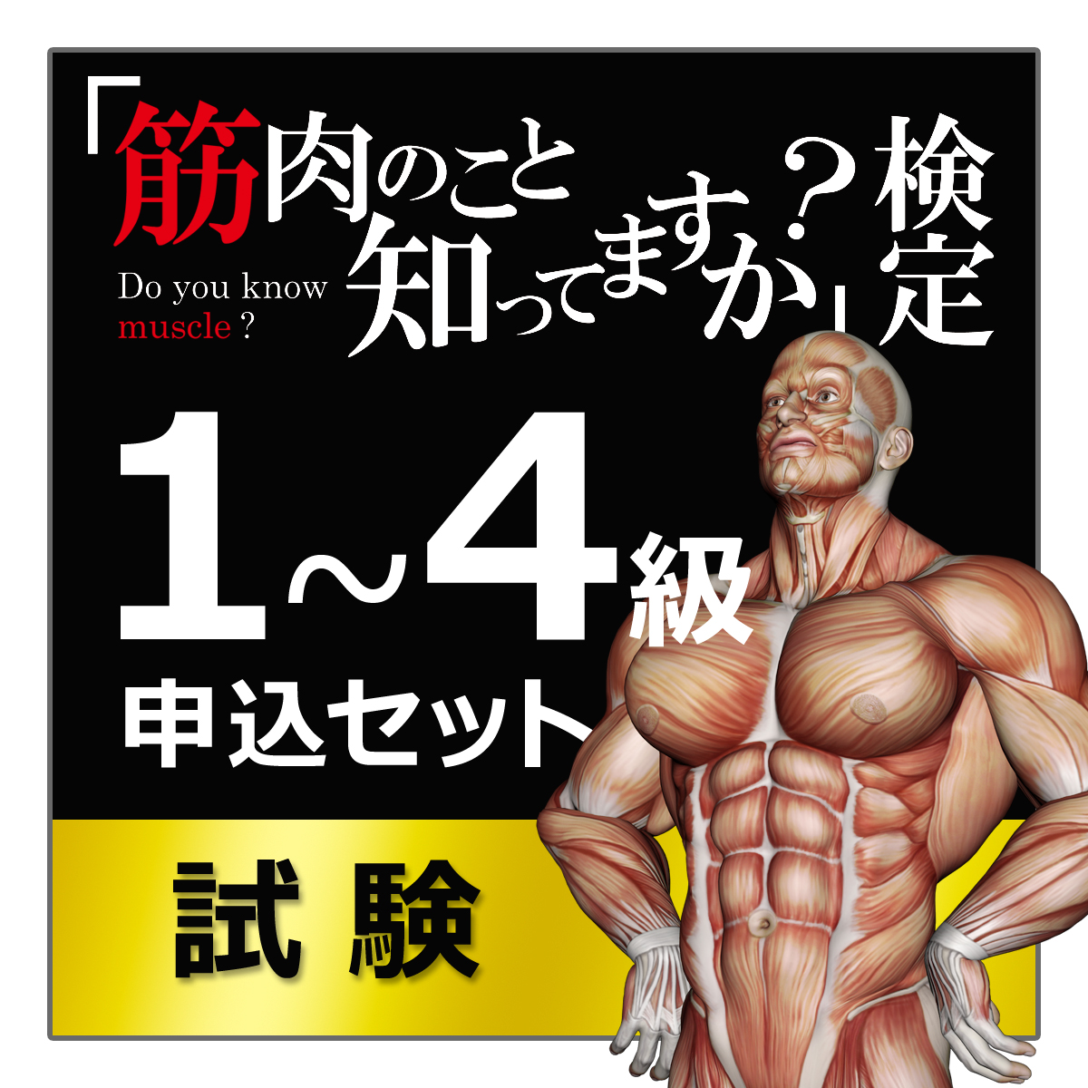 「筋肉のこと知ってますか？」検定【１～４級申し込みセット】