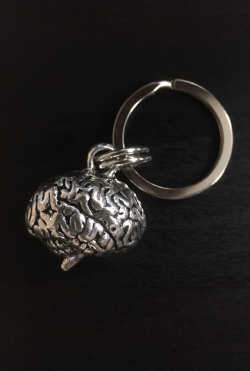 【アナトミーキーチェーン】脳（Brain）