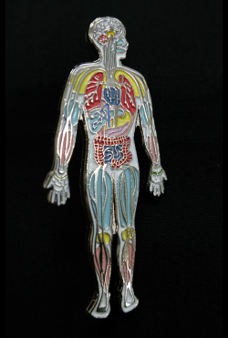 アナトミーピンバッチ 全身解剖図 Anatomy Body Pin