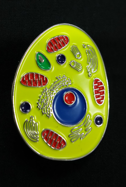 【サイエンスピンバッチ】細胞（Body cell animal biology cell）