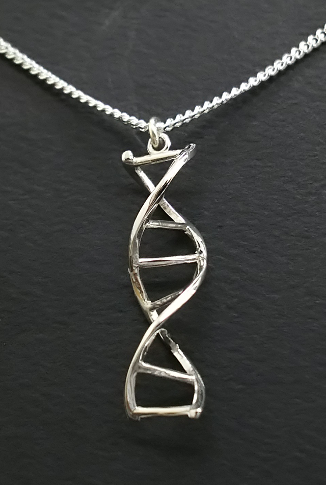 サイエンスジュエリー】DNAネックレス・Sterling Silver（DNA