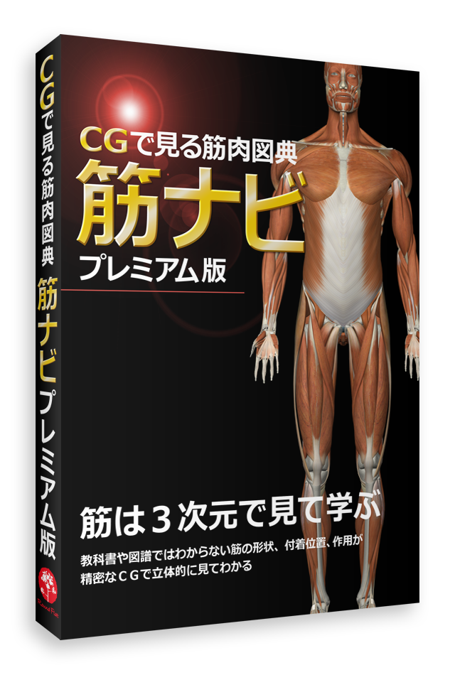 Winソフトウェア】CGで見る筋肉図典 筋ナビ プレミアム版《全身177筋