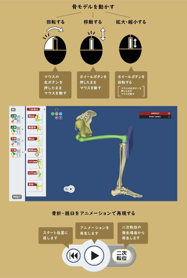 Depalma 図説 骨折 脱臼の管理 ⅠとⅡ Depalma 図説 骨折 脱臼の管理 ⅠとⅡ Depalma 図説 骨折 脱臼の