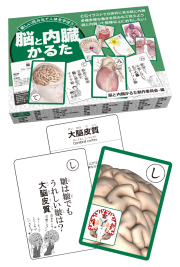 骨格標本　キーホルダー 楽天市場】人体模型 骨格キーホルダーの通販