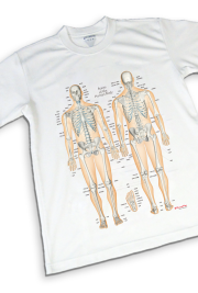 新発売】筋次郎コレクション1 クリアファイル3枚セット【解剖学