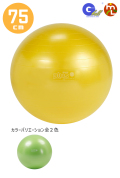 【ギムニク社正規品】ギムニクプラス（GYMNIC PLUS）75cm 【バウンドしても大丈夫】