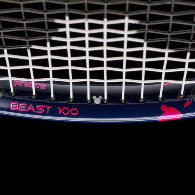 新品　DISNEY TOUR 100 290g 7TJ213 ウインザーオンラインショッププリンス ツアー 100 ディズニー