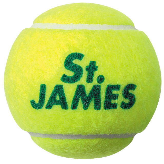 ダンロップ テニスボール セントジェームス 4個入/1缶＜10344302＞