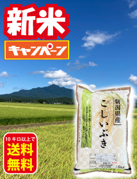 上越こしいぶき新米