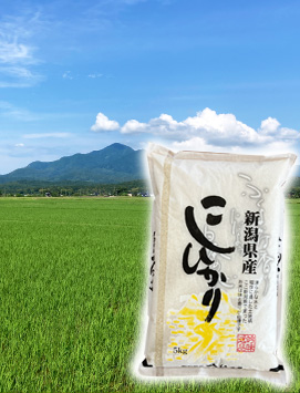新潟産上越コシヒカリ