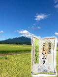 新潟産上越こしいぶき