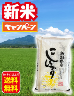 上越コシヒカリ新米