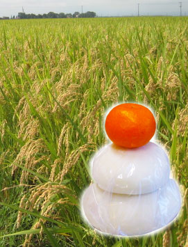 正月期間限定 手作り鏡餅 中 上越コシヒカリ通販サイト 米選