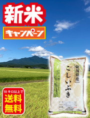 上越こしいぶき新米