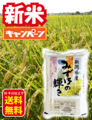 みずほの輝き新米